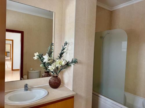 Azores Terrace Apartment T2
