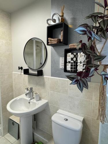 a bathroom with a sink and a mirror and a toilet at Chrysanthemum Drive stays in Shinfield