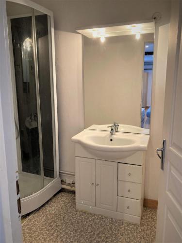 a white bathroom with a sink and a shower at Studio double dans l'hypercentre de Limoges in Limoges