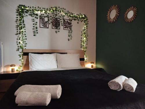 Cozy City Center Apartment