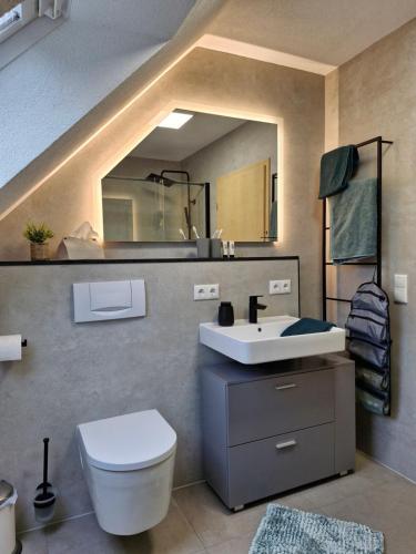 a bathroom with a sink and a toilet and a mirror at Daheim in Burk in Burk