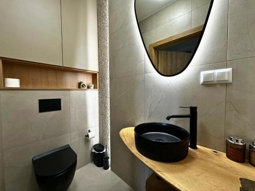 a bathroom with a black sink and a mirror at FORESTA in Redliny