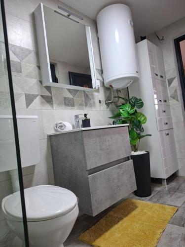 a bathroom with a toilet and a sink and a mirror at Sap Pool House in Ritopek