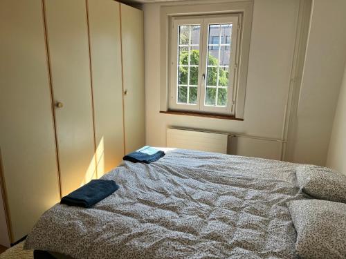 a bedroom with a bed and a window at 1 bed flat in central Zug in Zug