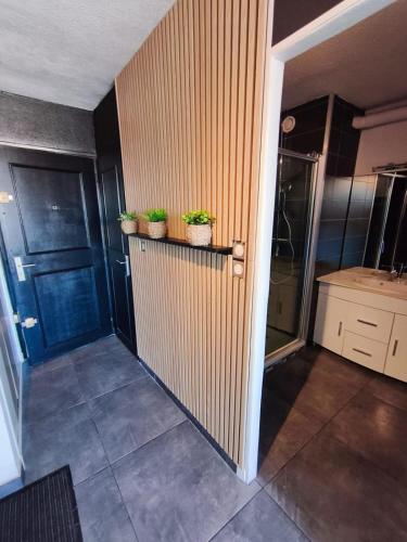 a hallway with two potted plants on a shelf at Naturiste Cap d'Agde Héliopolis K 106 in Cap d'Agde