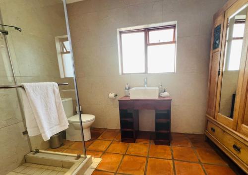a bathroom with a sink and a toilet and a window at Goblin's Inn in St. Helena Bay