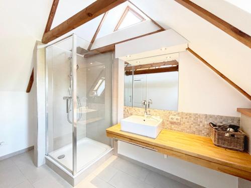 a bathroom with a shower and a sink at Rosenhaus - Lütt Arnis in Arnis