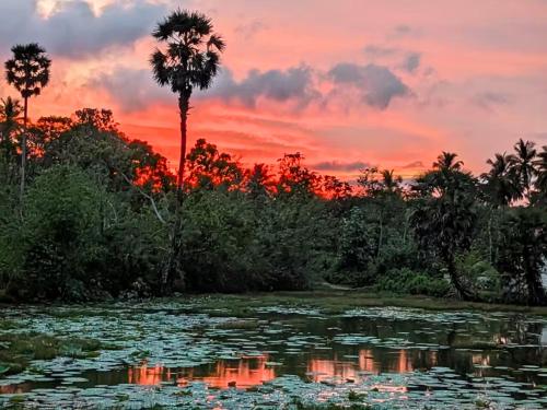 a sunset over a body of water with palm trees at Lake View Cabana near Tangalle in Tangalle