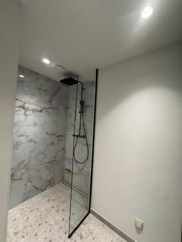 a shower with a glass door in a bathroom at The Corner-LISETTE in Oedelem