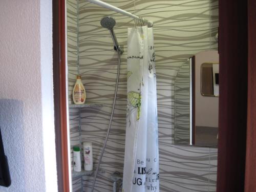 a bathroom with a shower curtain and a mirror at Apartment Yasica 2 in Izačić