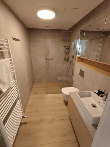 a bathroom with a sink and a toilet and a shower at PINEA 2 BEDROOM APARTMENT WITH Sea VIEW in Pobierowo