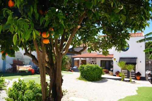 an orange tree in front of a house at Villa familiar com piscina e jacuzzi a 30 min de Lisboa in Torres Vedras