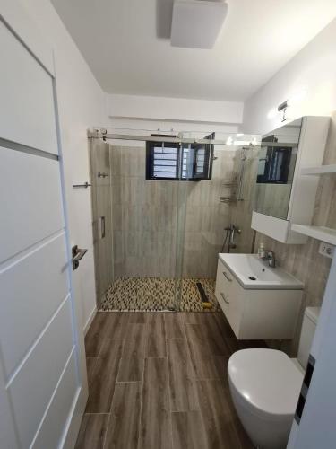 a bathroom with a shower and a toilet and a sink at Romanescu Park Apartament in Craiova