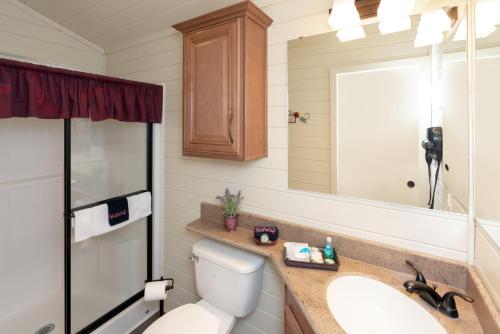 a bathroom with a toilet and a sink and a mirror at Sun Outdoors Central Coast Wine Country in Paso Robles