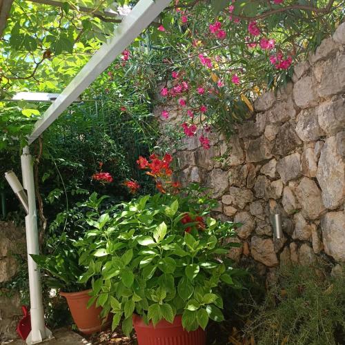 a group of plants in pots next to a stone wall at River & Garden Apartment in Trebinje