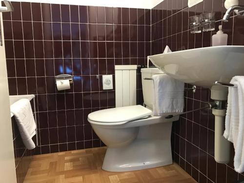 La salle de bains est pourvue de toilettes blanches et d'un lavabo. dans l'établissement Hotel Hahnenblick, à Engelberg