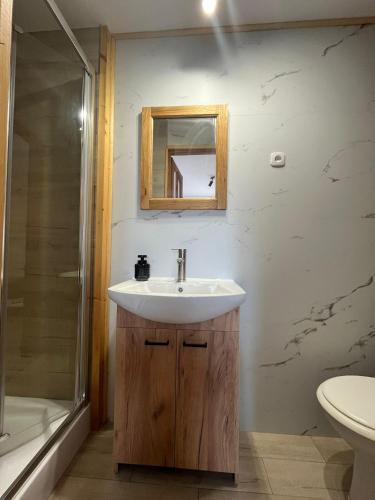 a bathroom with a sink and a shower at Nad Stawami - studio in Białowieża