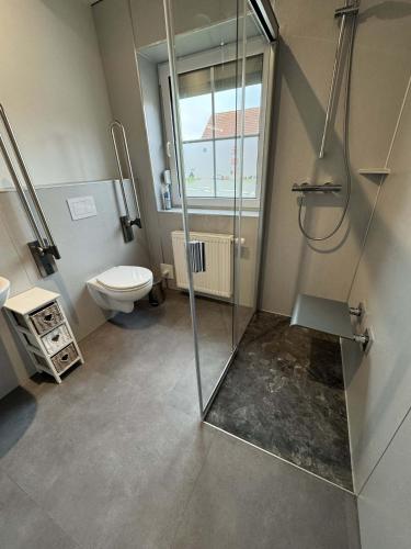 a bathroom with a shower and a toilet at SörenHuus Neßmersiel in Dornum