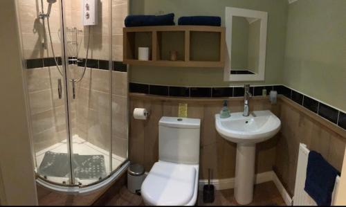 a bathroom with a shower and a toilet and a sink at The Kings Arms Pub in Stratton on the Fosse