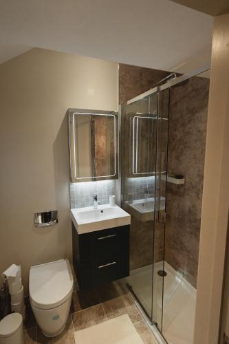 ein Badezimmer mit Toilette, Waschbecken und Dusche in der Unterkunft Stunning New Forest Country House - Abbot's Well for up to 10 guests in Godshill