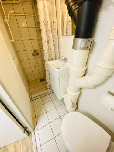 a bathroom with a toilet and a sink at Skovhus 2-room Basement Apartment in Aarhus