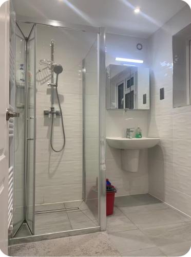 a bathroom with a shower and a sink at Bushy Hill Drive in Guildford in Guildford