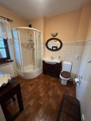 a bathroom with a shower and a toilet and a sink at Siedlisko Studzianki in Studzianki Pancerne