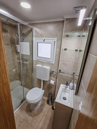 a bathroom with a toilet and a shower and a sink at Malhadinhas House in Vila Nova de Paiva
