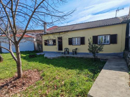 a house with a tree in the yard at Malhadinhas House in Vila Nova de Paiva