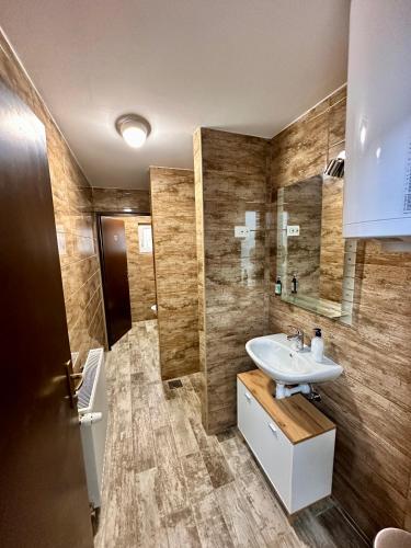 a bathroom with a sink and a mirror at Prenoćište Šoderica in Legrad
