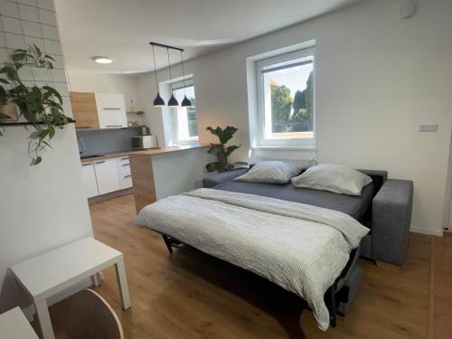 a bedroom with a bed and a kitchen with a window at Apartmán Zamarovce in Trenčín