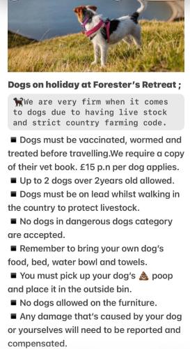 a poem about dogs on holidays at forskers retreat at Forester's Retreat Glamping - Dinas View - Dogs over the age of 2 with vaccination accepted RALI CEREDIGION EVENT 4TH-6TH SEP 2026 in Aberystwyth