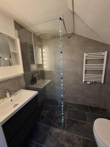 a bathroom with a shower and a sink and a toilet at Ferienwohnung Zeit für Meer in Kruså