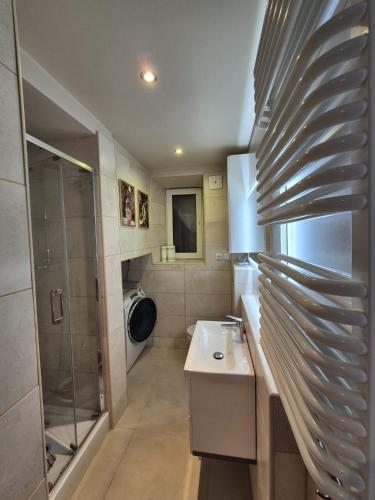 a bathroom with a sink and a shower at DORMAR I Apartament in Wałbrzych