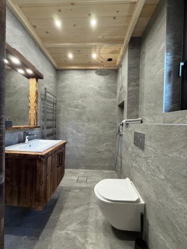 a bathroom with a toilet and a sink and a tub at Apartament Rodzinny Deluxe in Poronin