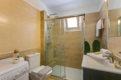 a bathroom with a shower and a toilet and a sink at Villa Areva by Villa Plus in Panormos Rethymno