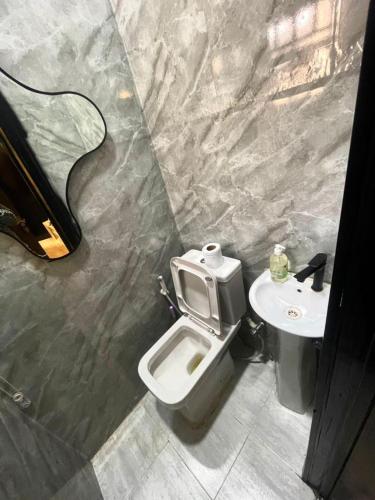 a bathroom with a toilet and a sink at Nimble Focus Apartment in Lagos