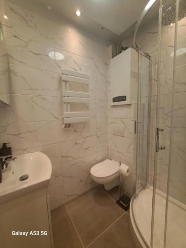a bathroom with a toilet and a sink and a shower at DORMAR II Apartament in Wałbrzych