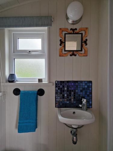 a bathroom with a sink and a mirror and a window at Bramblewick House Glamping in Longford