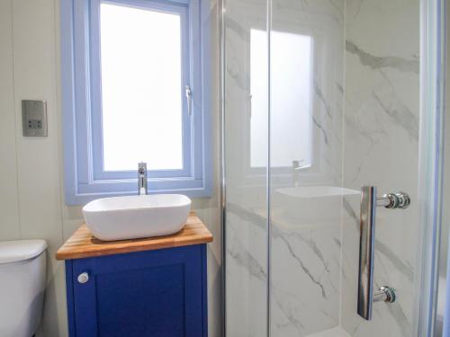 a bathroom with a sink and a glass shower at Skye in Ludlow