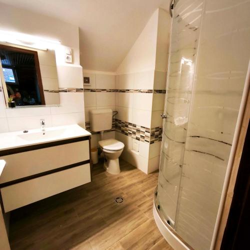 a bathroom with a toilet and a sink and a shower at Liget Fruit Garden Family Apartman in Zalakaros
