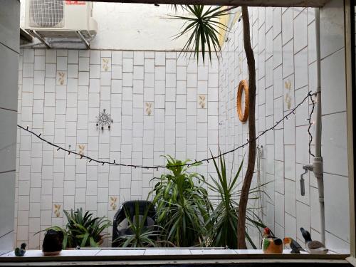 a kitchen with plants on a white tiled wall at La Santiaga Sólo para chicas in Córdoba