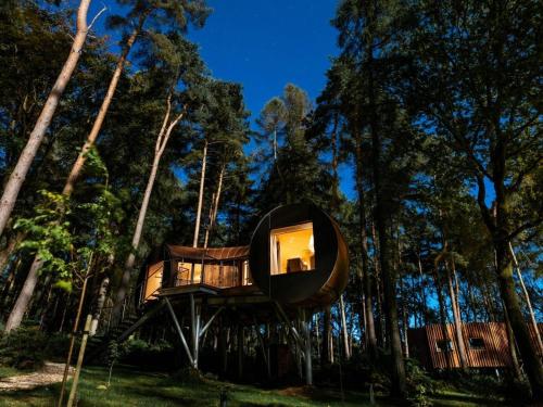 a tree house in the middle of the forest at Lady's Slipper-Qu7628 in Chipping Norton