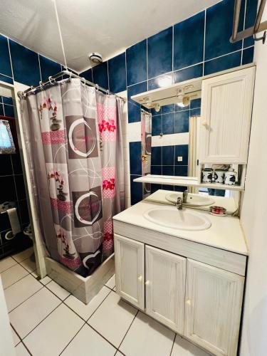 a bathroom with a sink and a shower curtain at Petite maison Cosy Le gaucher in Muret