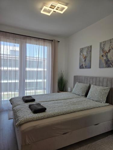 a bedroom with a large bed and a window at Szemesbay Serenity Apartman in Balatonszemes