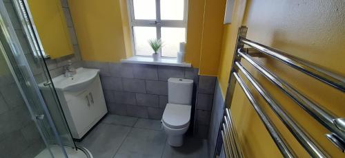 a bathroom with a toilet and a sink and a window at Ocean Bliss in Bundoran