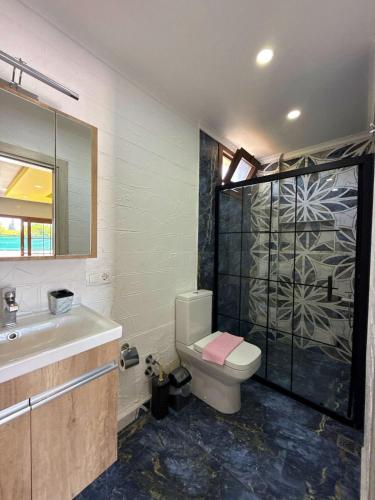 a bathroom with a toilet and a sink and a shower at VİLLA Terasa in Fethiye