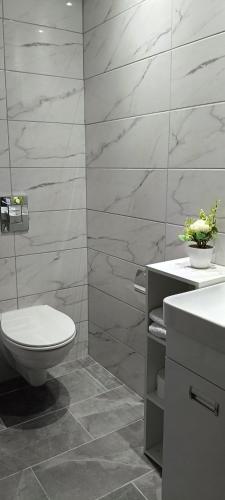 a bathroom with a toilet and a sink at Green view apartman Pančevo in Pančevo