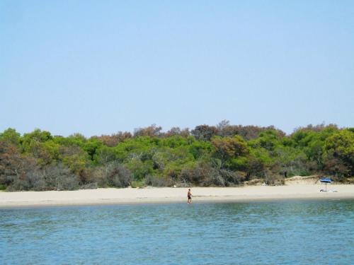 a person standing on a beach in the water at Casa Vacanza Piazza Gramsci 1 in Scanzano