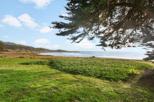 a grassy field with a tree and a beach at Curtis-Moulton Retreat in Sea Ranch